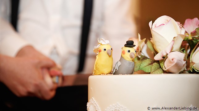 Hochzeitsfotograf Eventschloss Schönfeld - Marzipanvögel zieren die Torte