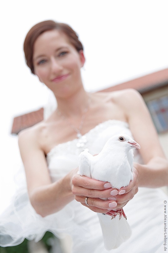 Hochzeitsfotograf Standesamt Barleben / Robinien-Hof Gommern - eine beliebte Tradition: weiße Tauben - hier hält die Braut eine Taube in den Händen