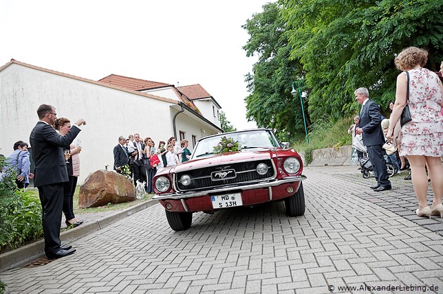 Hochzeitsfotograf Standesamt Barleben / Robinien-Hof Gommern - freudig werden die Brutleute mit ihrem Ford Mustang von ihren Gästen empfangen