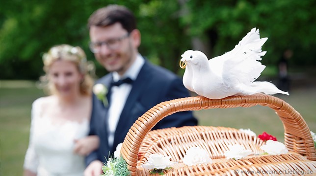 Hochzeitsfotograf Eventschloss Schönfeld - Zwei weiße Turteltauben
