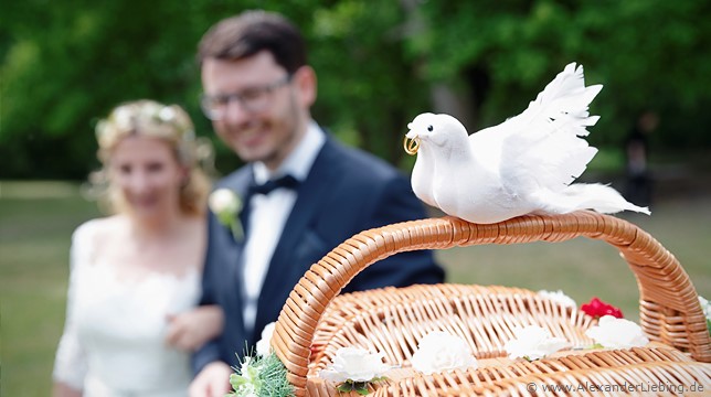 Hochzeit - Begrüßung, Sektempfang und Spielereien Hochzeitsfotograf Eventschloss Schönfeld - Zwei weiße Turteltauben