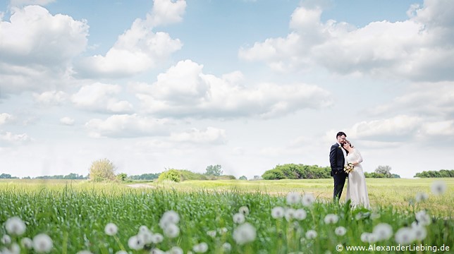 Hochzeit - Brautpaar Hochzeitsfotograf Eventschloss Schönfeld - Kuscheln auf der Wiese