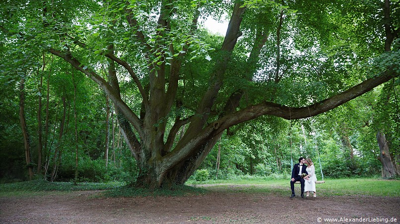 Hochzeit - Brautpaar Hochzeitsfotograf Eventschloss Schönfeld - Küsse auf der Schaukel unter dem alten Baum