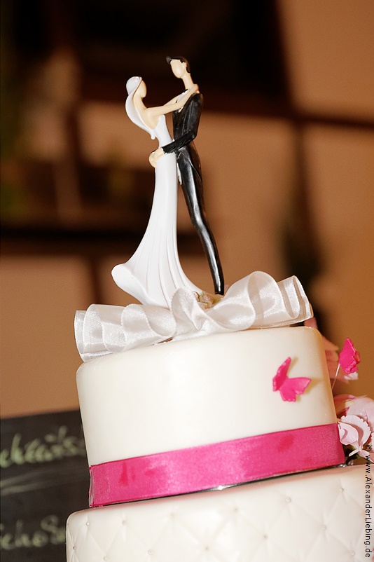 Hochzeit - Hochzeitsfeier Hochzeitsfotograf Standesamt Magdeburg / Gartenhaus im Stadtpark - Hochzeitstorte