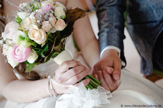 Hochzeitsfotograf Standesamt Magdeburg / Elbelandhaus - Brautpaar hält sich an den Händen