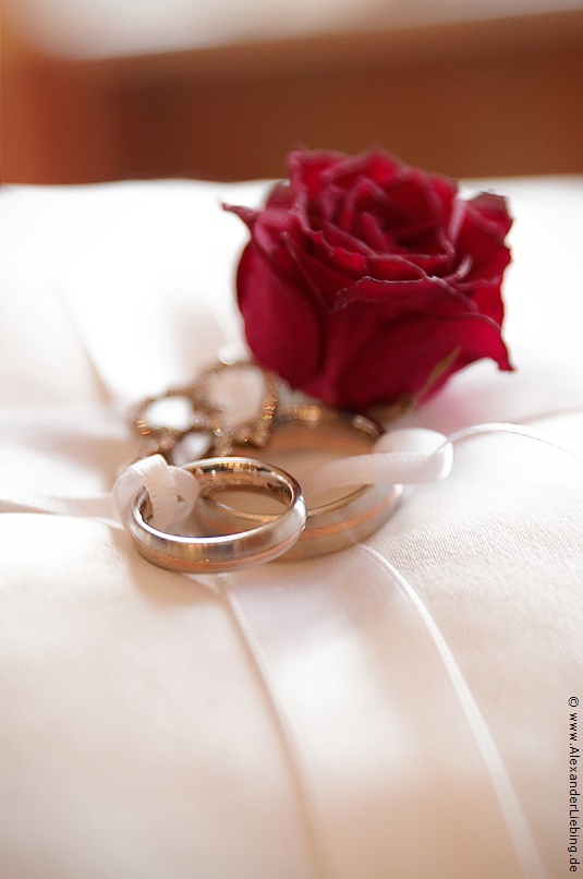 Hochzeit - kurz vor der Trauung Hochzeitsfotograf Standesamt Barleben / Robinien-Hof Gommern - silberne Eheringe mit rotgoldenem Einsatz auf Ringkissen mit Rose