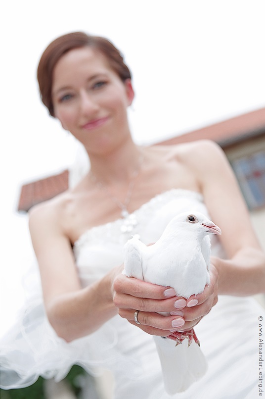 Hochzeit - Begrüßung, Sektempfang und Spielereien Hochzeitsfotograf Standesamt Barleben / Robinien-Hof Gommern - eine beliebte Tradition: weiße Tauben - hier hält die Braut eine Taube in den Händen