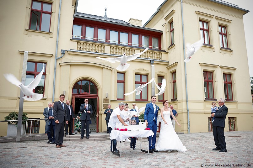 Hochzeitsfotograf Standesamt Barleben / Robinien-Hof Gommern - ein schönes Spektakel: weiße Tauben fliegen in den Himmel