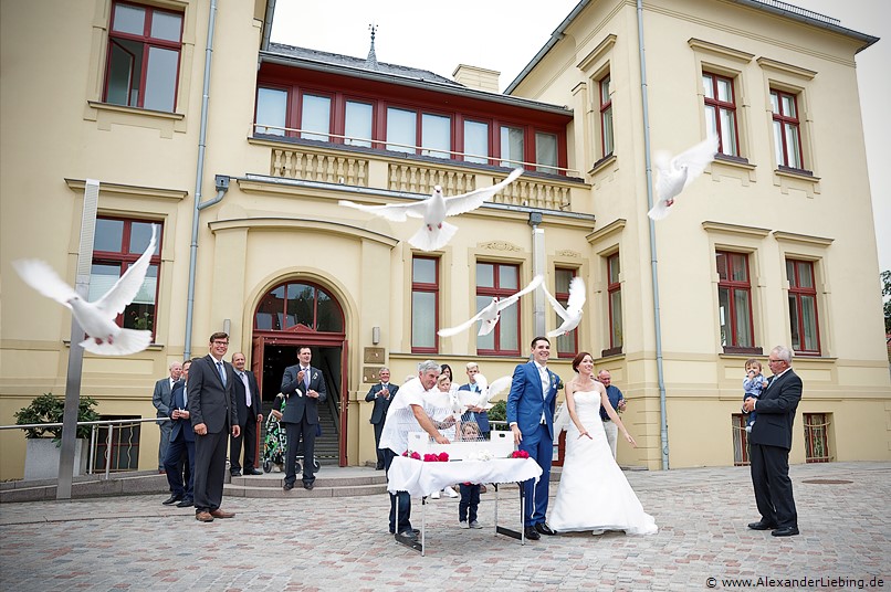 Hochzeit - Begrüßung, Sektempfang und Spielereien Hochzeitsfotograf Standesamt Barleben / Robinien-Hof Gommern - ein schönes Spektakel: weiße Tauben fliegen in den Himmel