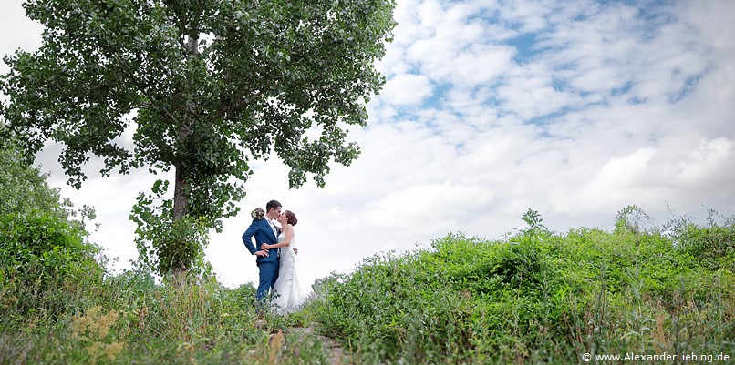 Hochzeit - Brautpaar Hochzeitsfotograf Standesamt Barleben / Robinien-Hof Gommern - frisch verliebte Küsse vom Brautpaar im Grünen