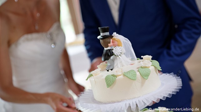 Hochzeitsfotograf Standesamt Barleben / Robinien-Hof Gommern - Figuren auf Hochzeitstorte küssen sich