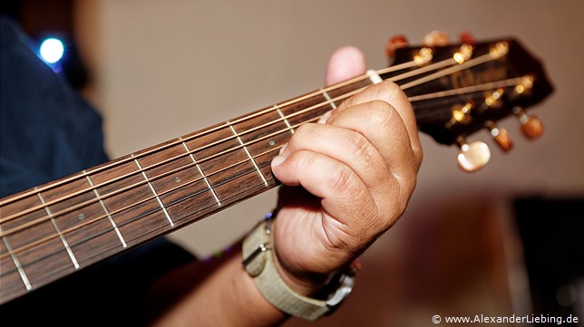 Hochzeit - Hochzeitsfeier Hochzeitsfotograf Standesamt Barleben / Robinien-Hof Gommern - Gitarrengriff